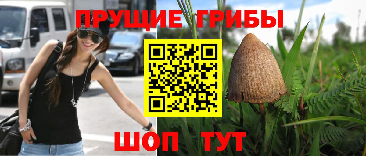 закладка  Вход с VPN  Галлюциногенные грибы Psilocybe  Астрахань  Псилоцибиновые грибы Psilocybe 